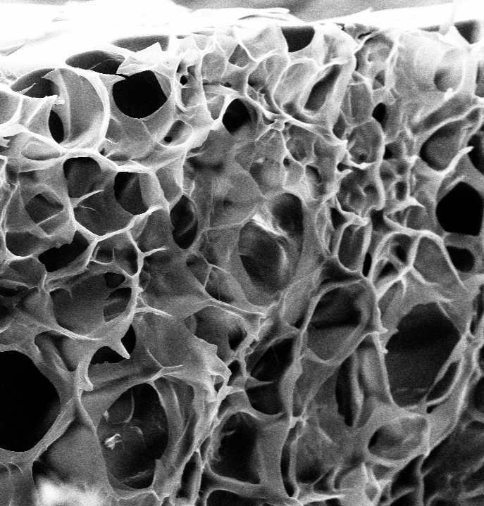 Porous Structures | Bayram Research Group